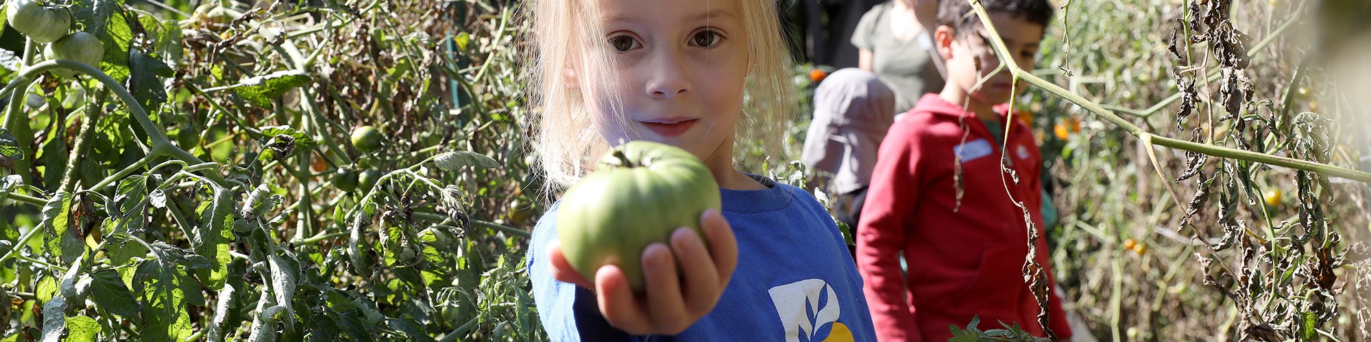 BDS-Pre-K-Garden-8-09.11.25Hero