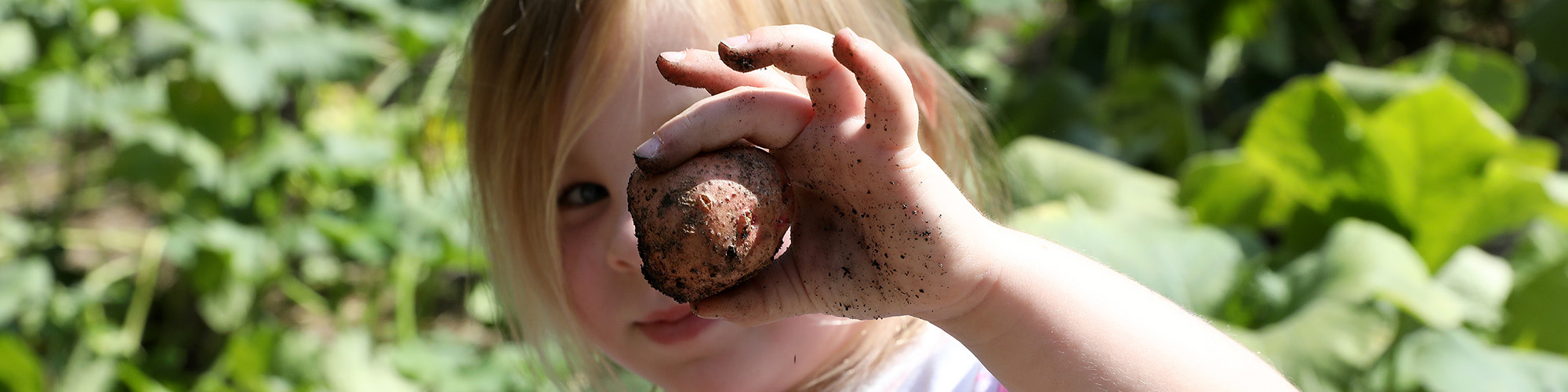 BDS Pre K Garden 2 09.11.25Hero